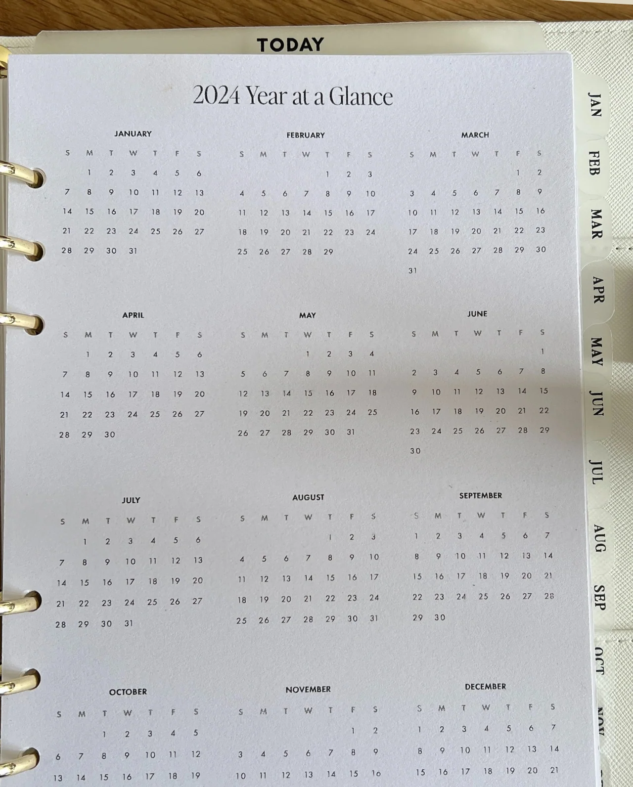 Classic Monthly Side Tab Planner Dividers (Set of 12) - Image 5