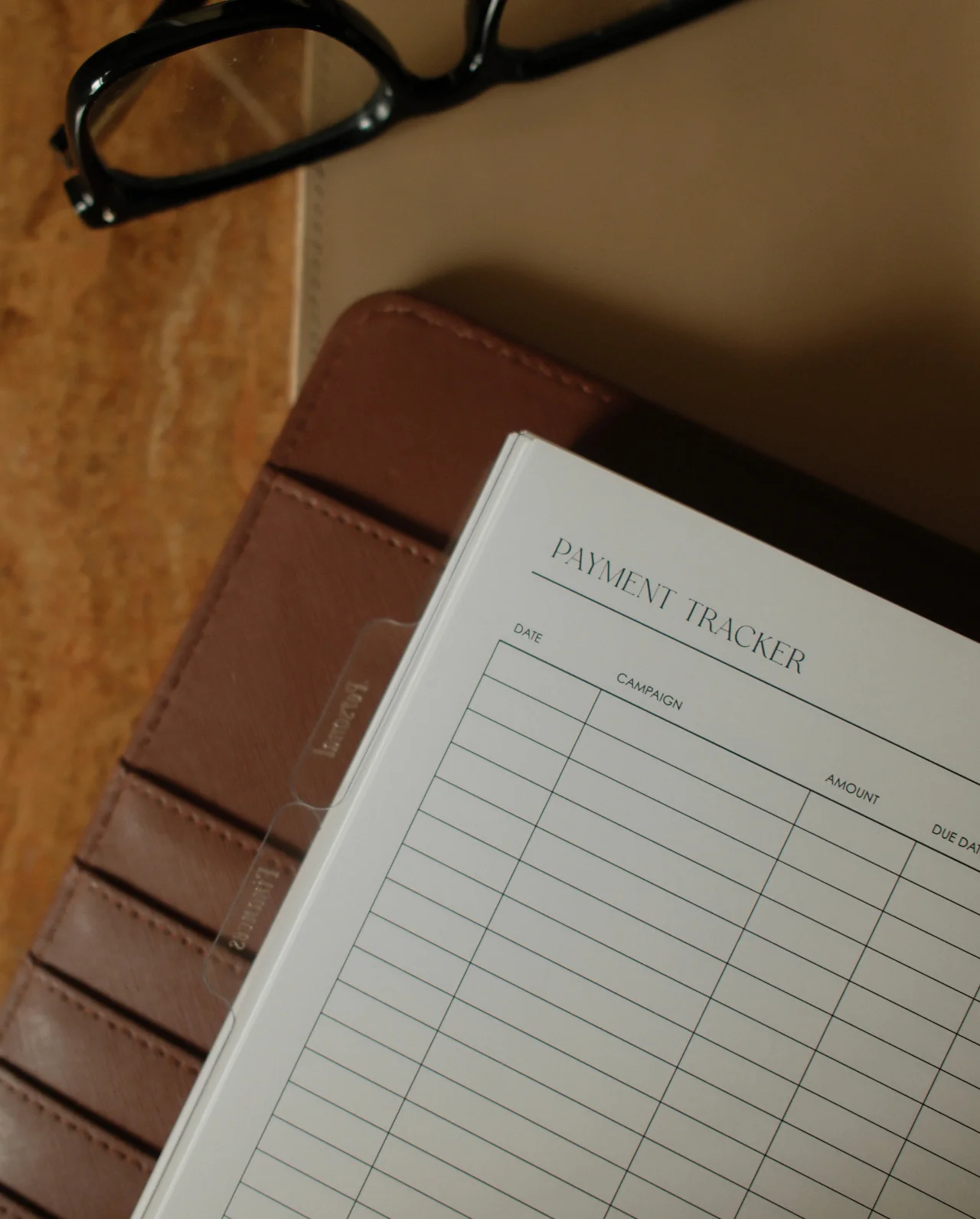 Payment Tracker Planner Inserts | Alyssa Lenore x The Line - Image 3